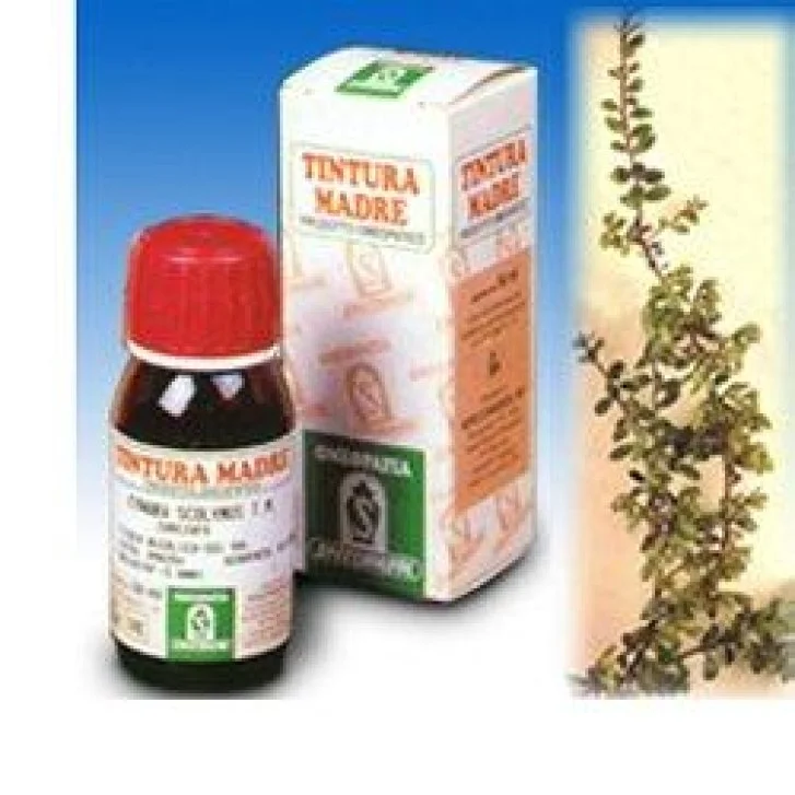 epharmacy1372876