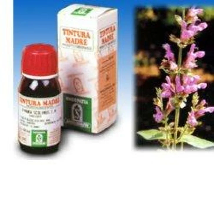 epharmacy1397234