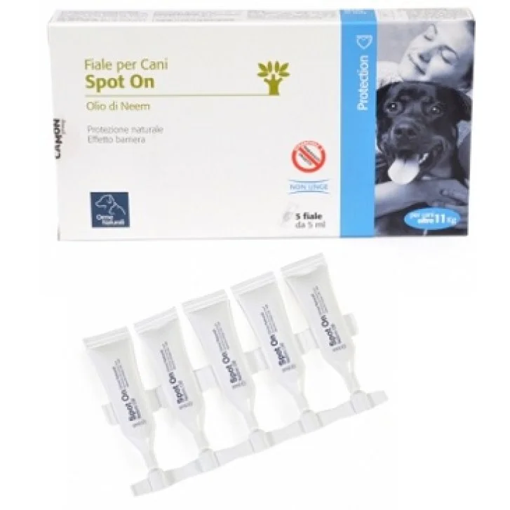 epharmacy1588508