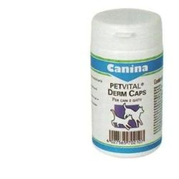 epharmacy1667243