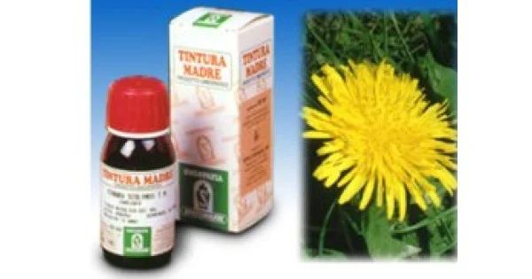 farmaciagaudiana1411243