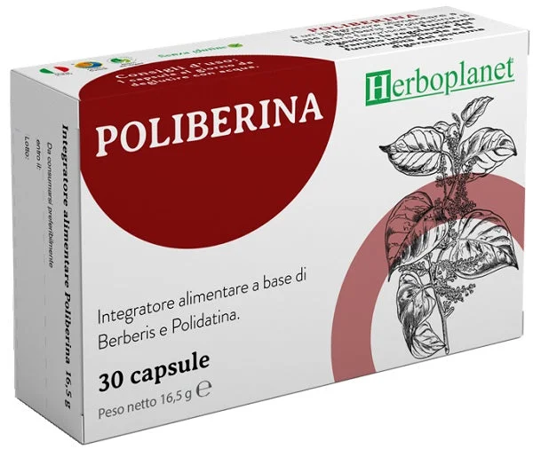 lovesano-31436283